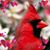 Jessica Hetzel's profile image