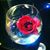Lam Chuc's profile image