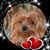 Brenda Fuller's profile image