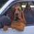 Juan Munoz's profile image