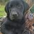 Paul Husom's profile image