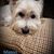 Cynthia Pudlik's profile image