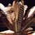 John Deevy's profile image