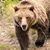 Pattie Walsh's profile image