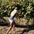 Diana Lynne's profile image