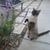 Cat Mallory's profile image