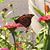 Chitra Krishnaswamy's profile image