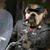 James Morrison's profile image