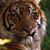Tom Smith's profile image