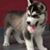 Herberth Lopez Mejia's profile image