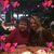 Carolyn Beach DeMarce's profile image