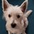 Kay Drayton's profile image