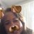 Marilyn Valls's profile image