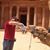 Eyad Jaghbeer's profile image