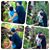 Sonta Niago's profile image