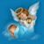Nicolás Gómez García's profile image