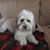 Ellyn Goldie-Hanson's profile image