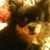 Karen Phillips's profile image