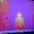 David Eckstein's profile image