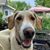 Jim Johnson's profile image