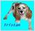 Shari H.'s profile image