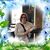 Sandy Hanley's profile image