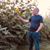 Vincent DePasquale's profile image