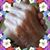 Glenda Sue Peugh Hampton's profile image