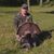Jerry Rieman's profile image