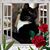 Myra Watkins Elkins's profile image