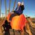 Cheryl Lepore Buckley's profile image