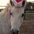Jackie Golen's profile image