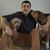 Neil J Constancia's profile image