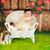 Stacey Jeanette Huskey's profile image