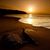 Sharon Brown's profile image