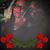 David Tucker's profile image