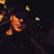 Nick Charles Whitman's profile image