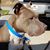Belinda Metz's profile image