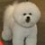 Kathie Vogel's profile image