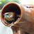 Kathy Greider's profile image
