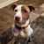 Patrick John Bailey's profile image