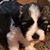 Kristine Smith's profile image