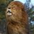 James E Harris III's profile image