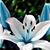 Sandra Pitts's profile image