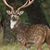 Larry Fontenot's profile image