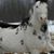 Marlene E Delaney's profile image