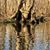 Francoise Jayson's profile image