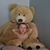 Brittany Marie Peterson's profile image