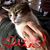 Glenwood Cain III's profile image