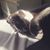 Jaden Lynn Turnley's profile image